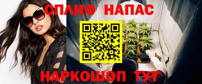 дмт Донской