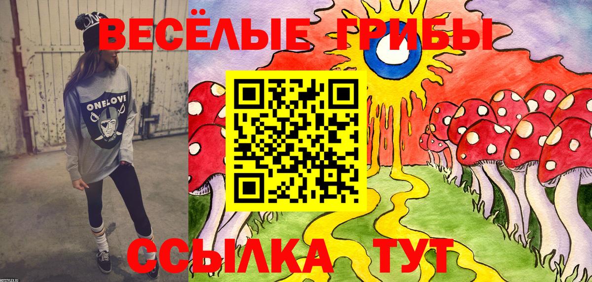 Малгобек  Галлюциногенные грибы ЛСД  Вход с VPN 